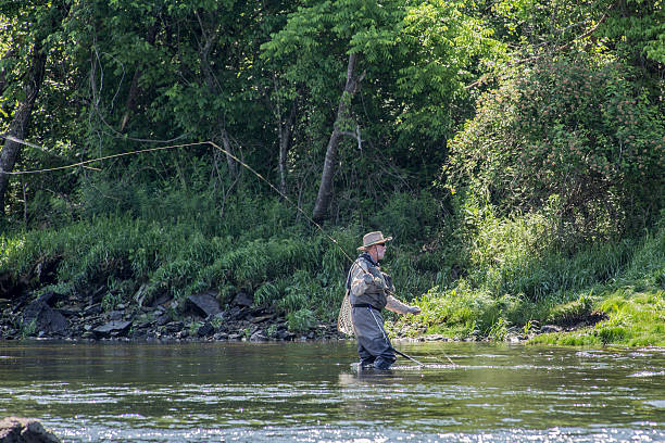 istock Trout Fishing 496794679
