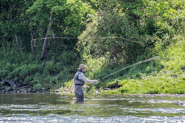 istock Trout Fishing 496794685