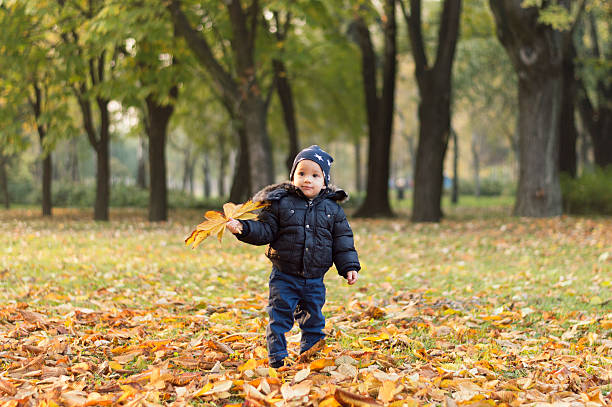 istock Beautiful baby boy in autumn park 496794858