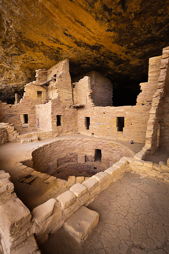 The cliff dwelling of Ancient Pueblo the Spruce Tree House in Mesa Verde National Park of Colorado, southwest USA. Various adobe building structures on the face of the cliff were featured in the National Park with living quarters, community space, storage areas, and spiritual kivas, beautifully conceived architectural were built by the ancient Pueblo tribes.