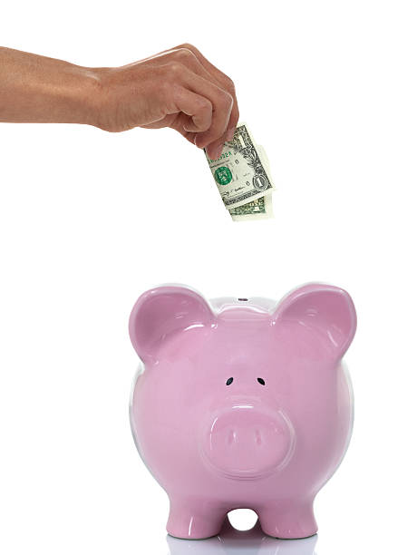 istock Hand putting money into a piggy bank 496795578