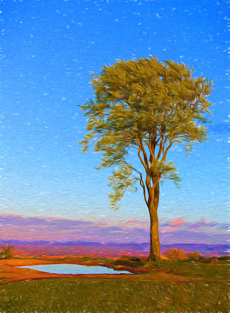 istock One solo beech tree pond of water modern illustration 496796612