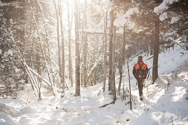 Photo of Male Hunter Walking through snowy forest backlit by sunshine