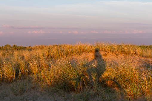 Sadow of a woman (could also be a man) on grass-covered sand dunes. These dunes are typical for some Dutch, Belgian, German and French coastal ares.