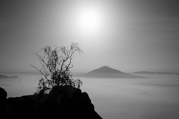 The island with tree. Full moon night in beautiful mountain. The island with tree. Full moon night in a beautiful mountain.  Sandstone peaks and hills increased from foggy background, the fog is orange contrail moon on a night sky stock pictures, royalty-free photos & images