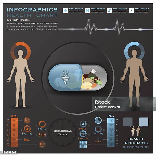 Biologische Uhr Gesundheit Und Medizinische Infografik Infocharts Stock Vektor Art und mehr Bilder von Arzt