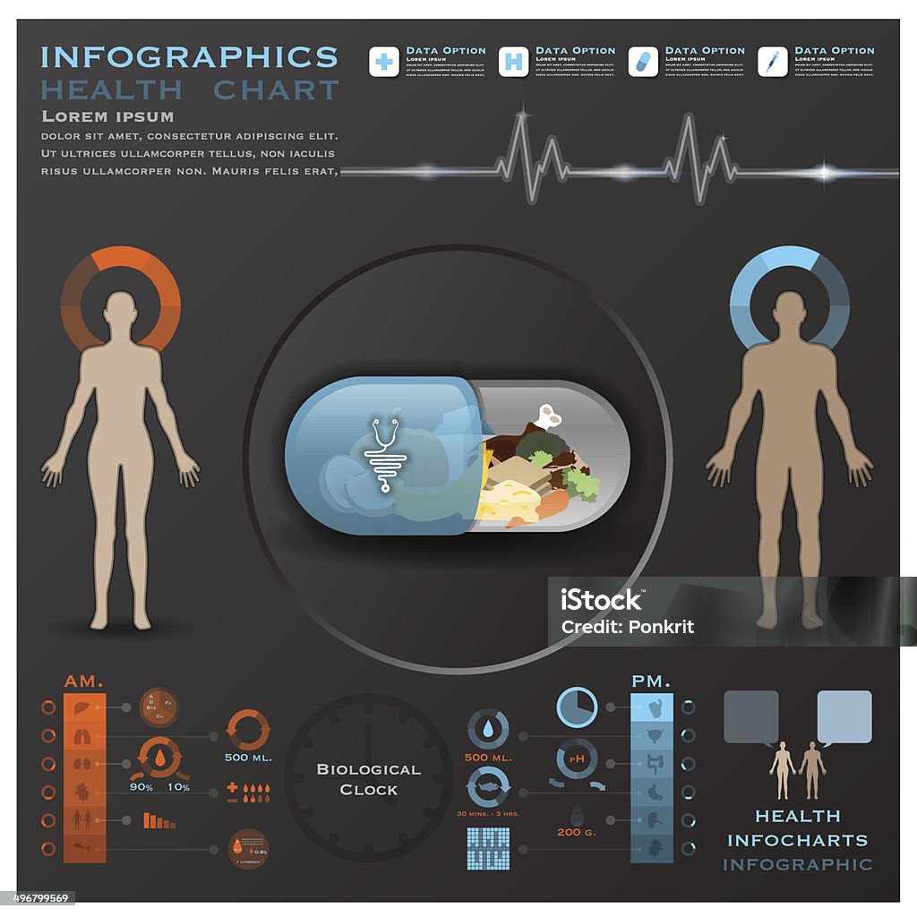 생체 시계 건강 및 의료 인포그래픽 Infocharts - 로열티 프리 벽 시계 벡터 아트