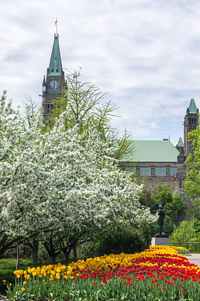 istock parliament buildings and tulip bed 496799649