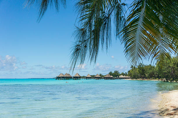 istock Paradise view of Rangiroa atoll, French Polynesia 496800772