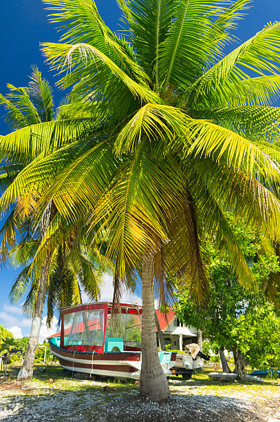 istock Paradise view of Rangiroa atoll, French Polynesia 496802396