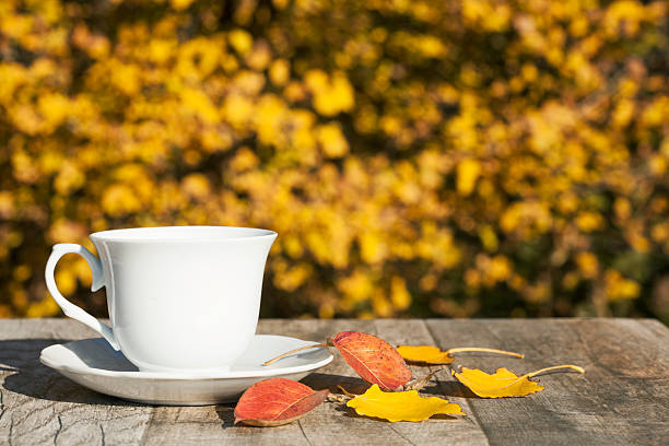 istock Cup of tea and autumn yellow leaves 496804088