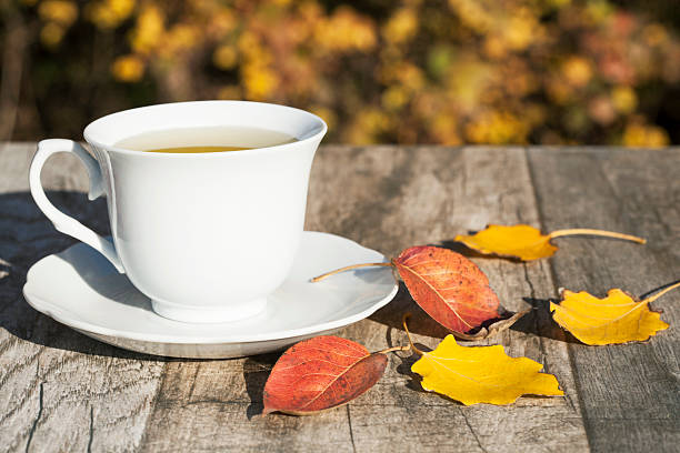 istock Cup of tea and autumn yellow leaves 496804112