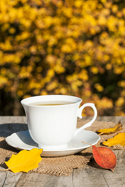 istock cup of tea and autumn yellow leaves 496804152