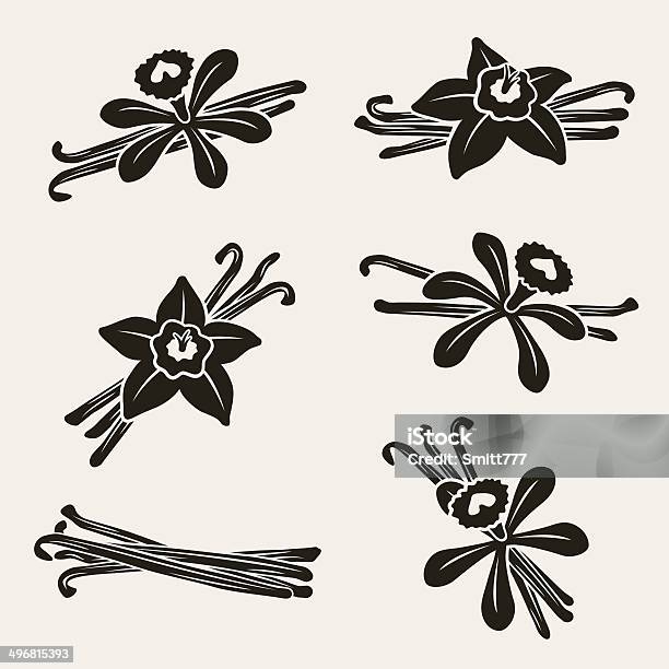 Vanilla Set Vector Stock Illustration - Download Image Now - Backgrounds, Botany, Brown