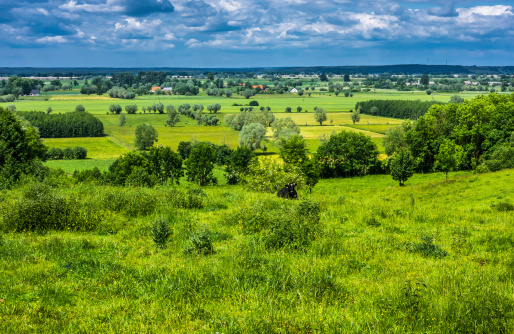 Meadows and fields on the Vistula