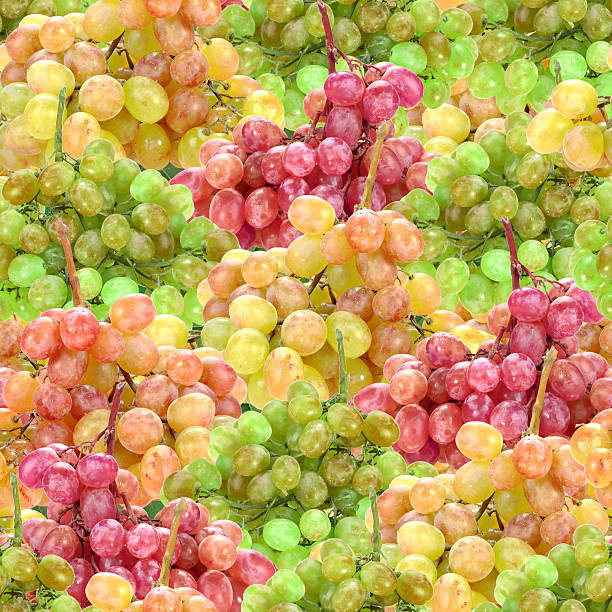 istock Seamless pattern of fresh ripe motley grape 496816035