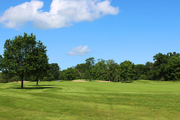 istock Golf course with green grass, trees, sandy bunkers, hazards, sky 496818413