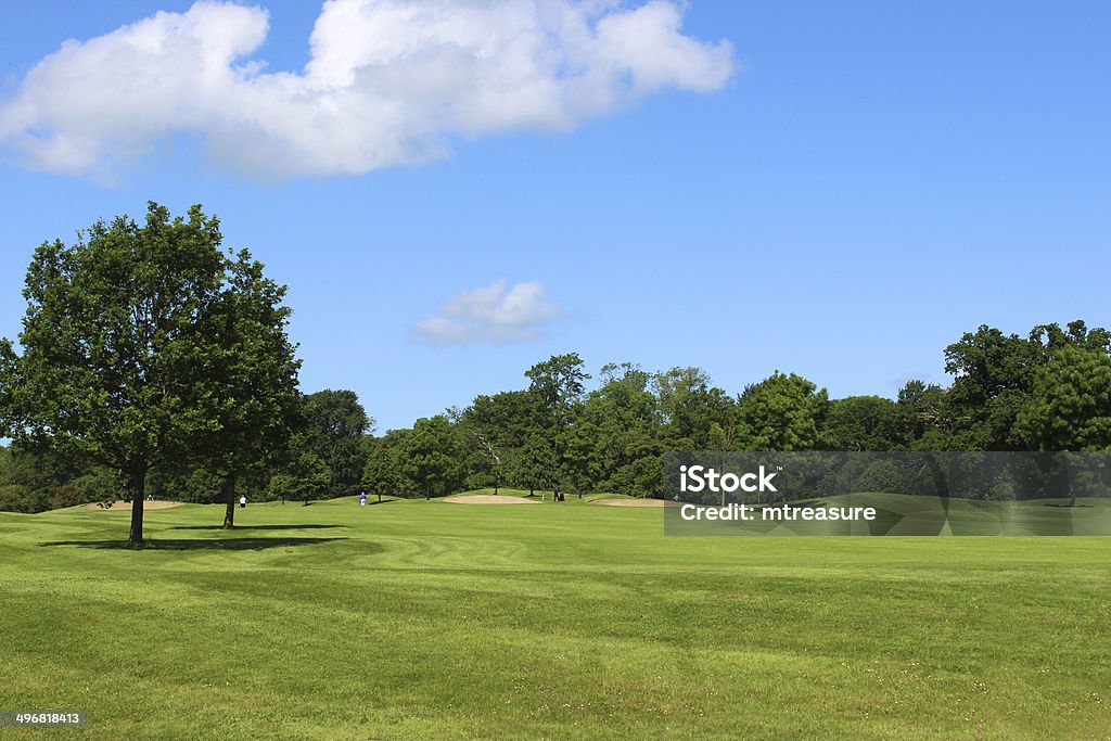 Golf course with green grass, trees, sandy bunkers, hazards, sky Photo showing a landscaped golf course with neatly cut green grass, mature deciduous trees, sandy bunker traps and immaculate putting greens, pictured against a stunning blue cloudy sky.  Many ancient oak trees, sycamores, ash, hornbeam, horse chestnut and pine trees are dotted around the golf course, injecting character and a feeling of maturity. Agricultural Field Stock Photo