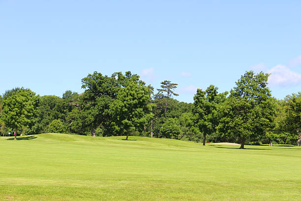 istock Golf course with green grass, trees, sandy bunkers, hazards, sky 496818509