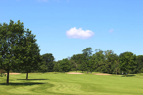 istock Golf course with green grass, trees, sandy bunkers, hazards, sky 496818545