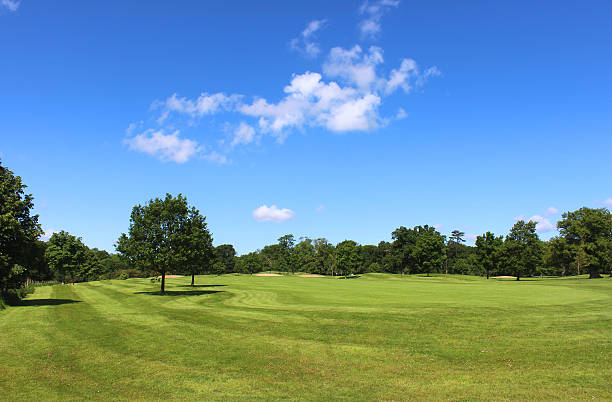 istock Golf course with green grass, trees, sandy bunkers, hazards, sky 496818751
