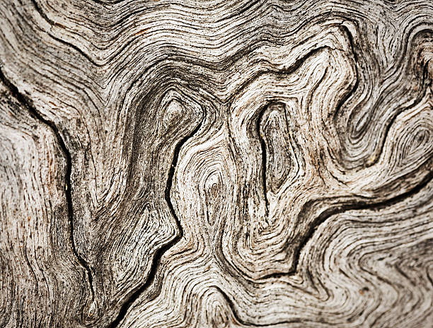 Gnarled, weathered, heavily textured wood for background .Frame-filling close-up of gnarled, weathered, heavily grained wood for use as background or texture. gnarly wood texture stock pictures, royalty-free photos & images