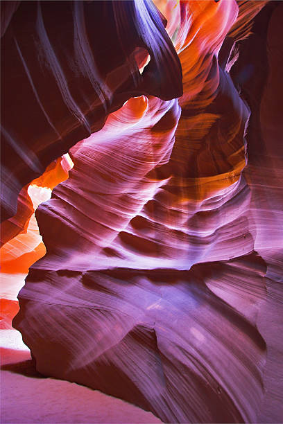 istock The world of color. 496819877