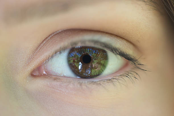 istock Beautiful woman eye 496820486