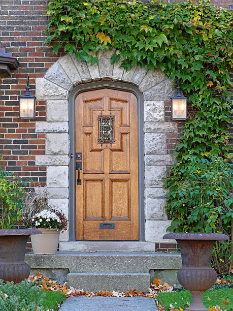 istock wooden door with ivy 496820490