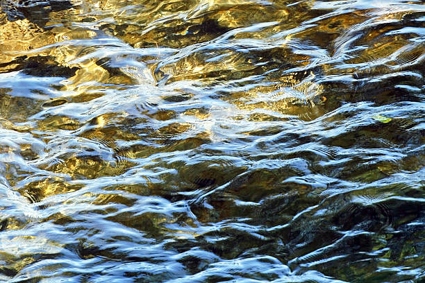 Soft Rippling Waters Moving Along River Stock Photo Soft Rippling Waters Moving Along River Stock Photo