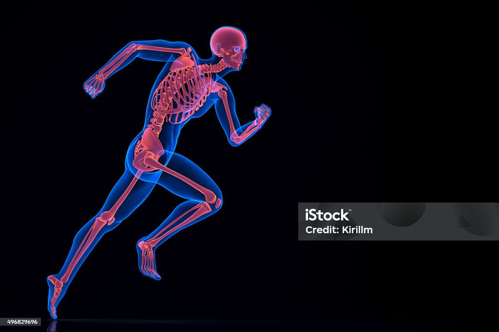 Running 3d skeleton. Contains clipping path Human Skeleton Stock Photo
