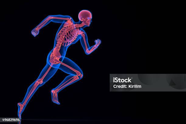Running 3d Skeleton Contains Clipping Path Stock Photo - Download Image Now - Human Skeleton, Running, Healthcare And Medicine