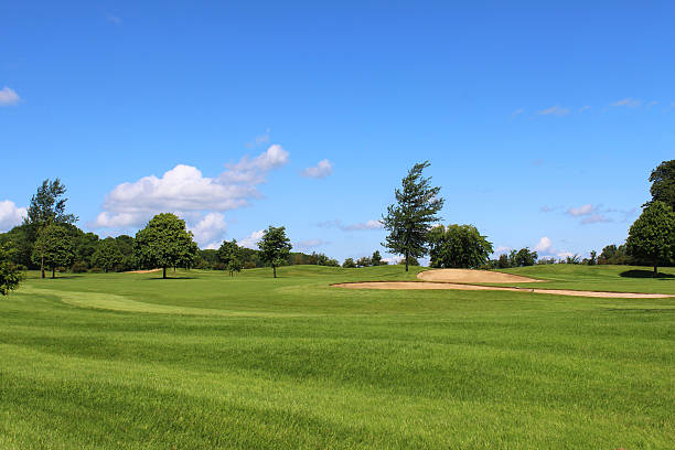istock Golf course with green grass, trees, sandy bunkers, hazards, sky 496830135