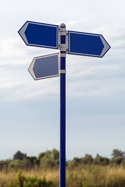 istock Vertical composition of a blank blue street signpost arrows 496830475