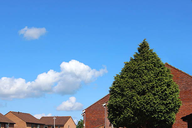 istock Image of tiled rooftops of modern, generic red brick houses 496830477