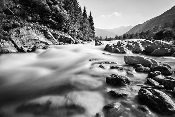 View of Mur river flowing past alpine meadow bellow a coniferous spruce forest at Hintermuhr in Austria