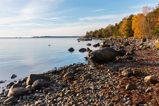 istock Rocky beach with silver birches on Baltic Sea in autumn 496831186