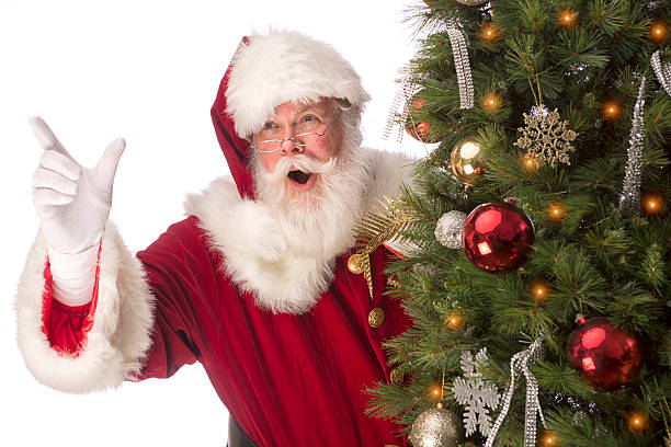 Real retrato do Papai Noel por trás de uma árvore de Natal - foto de acervo