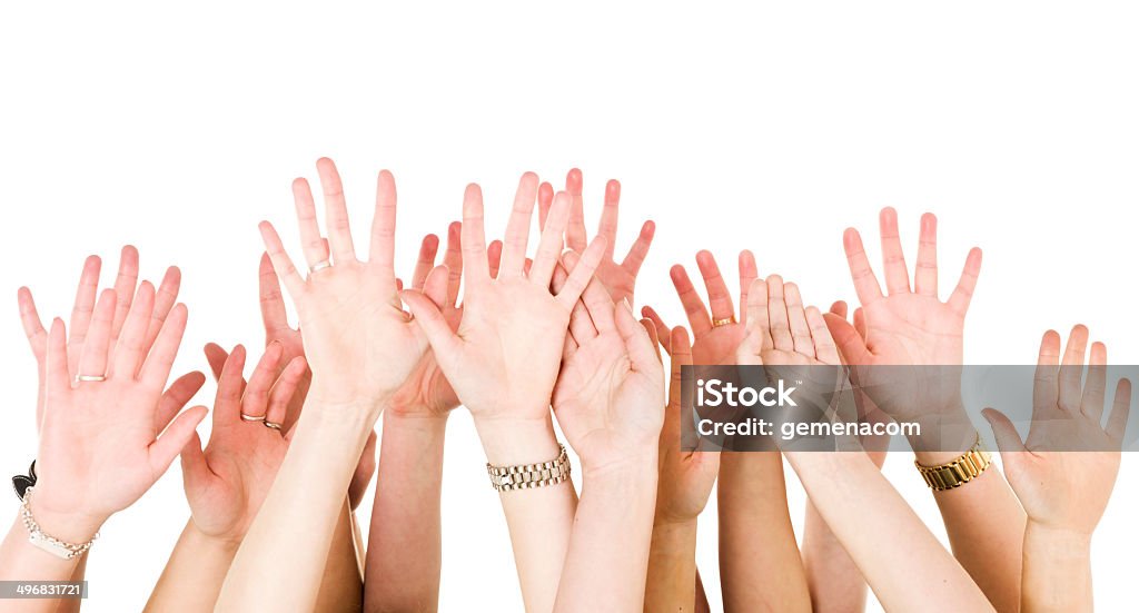 Human Hands Raised Human Hands Raised isolated on White Background Hand Raised Stock Photo