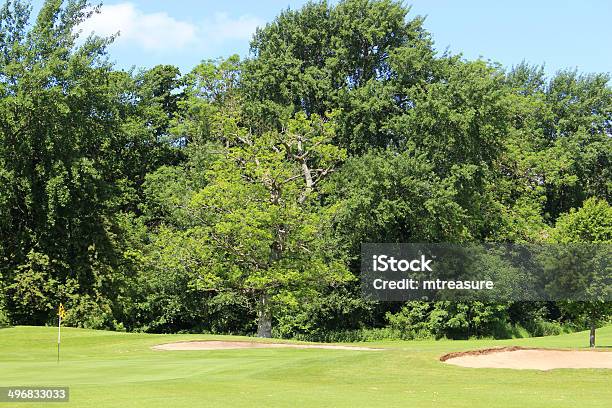 Golf Course With Sandy Bunker Trap Trees Putting Green Flag Stock Photo - Download Image Now