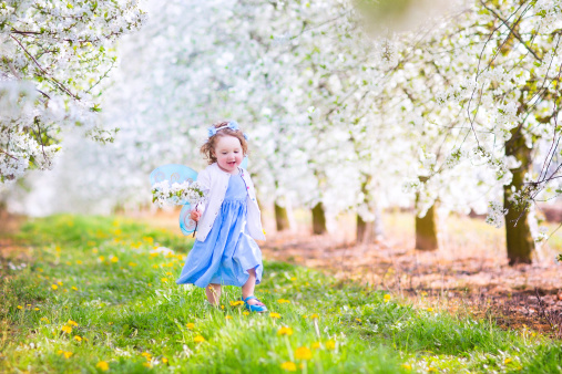 Adorable toddler girl with curly hair and flower crown wearing a magic fairy costume with a blue dress and angel wings playing in a sunny blooming fruit garden with cherry blossom and apple trees