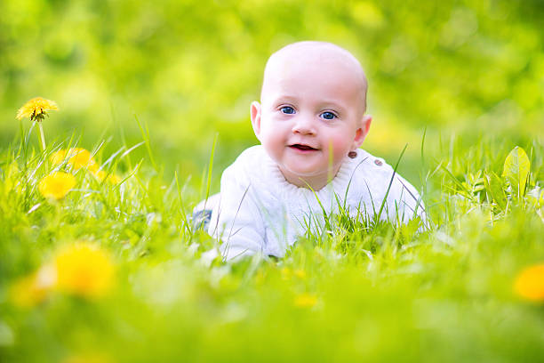 istock Cute baby in a blooming spring apple garden 496833709