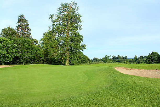 istock Golf course with sandy bunker trap, trees and putting green 496836217