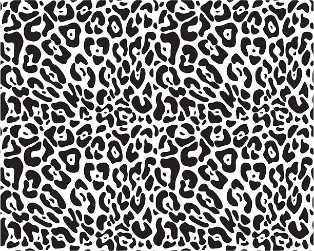 Animal print seamless vector pattern Animal print seamless vector pattern black and white cheetah print stock illustrations