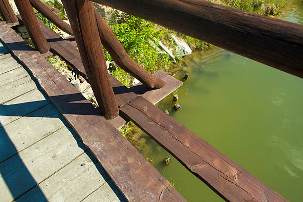 istock View of  river from wooden bridge, 496836477