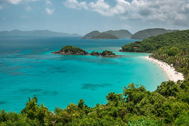 istock Overview of Trunk Bay in US Virgin Islands 496836535