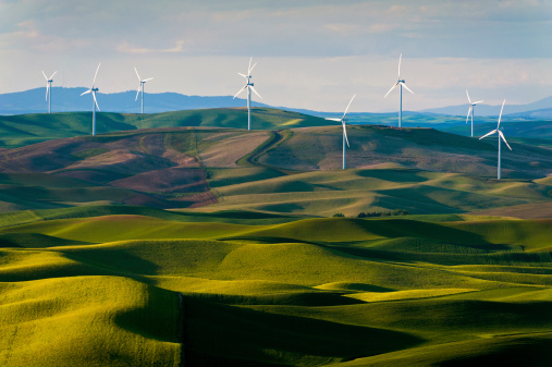 Wind turbines seen from the Steptoe Butte State Park lookout. One of the largest wind farms in the country. Seen in the Palouse area of Eastern Washington state, USA.