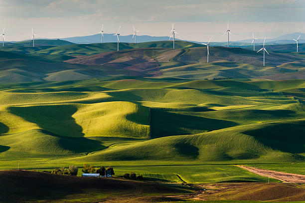 istock Steptoe Butte Wind Turbines 496837025