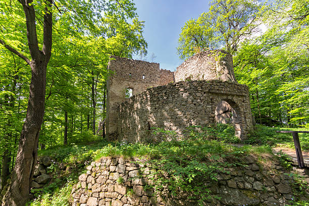 Bolczow Castle - foto stock