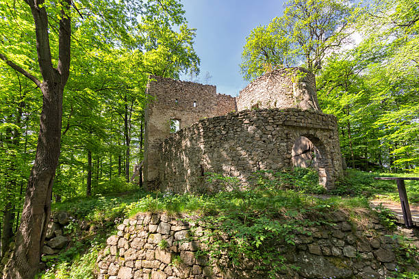 Bolczow Zamek – zdjęcie